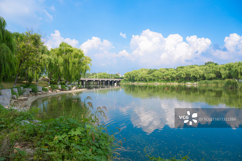 肥城湿地公园图片素材