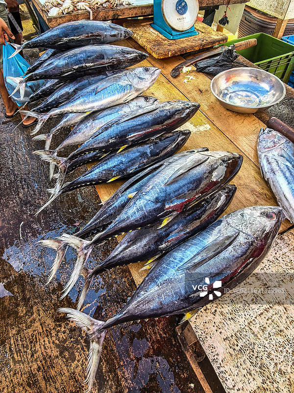 售卖金枪鱼的摊贩图片素材