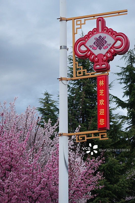 西藏林芝市巴宜区尼池西路桃花大道：林芝桃花节图片素材