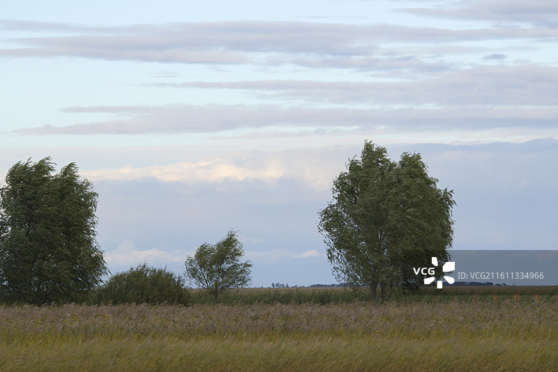 扎龙自然保护区扎龙湿地的建筑和雕塑图片素材
