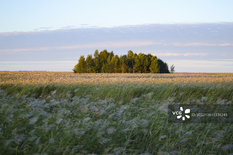 扎龙自然保护区扎龙湿地的建筑和雕塑图片素材