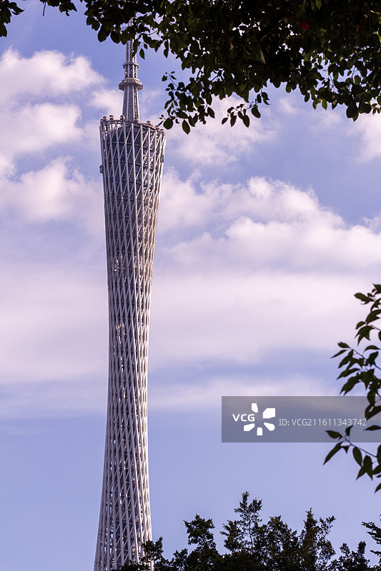 秋天晴朗天空背景下的广州塔特写镜头图片素材