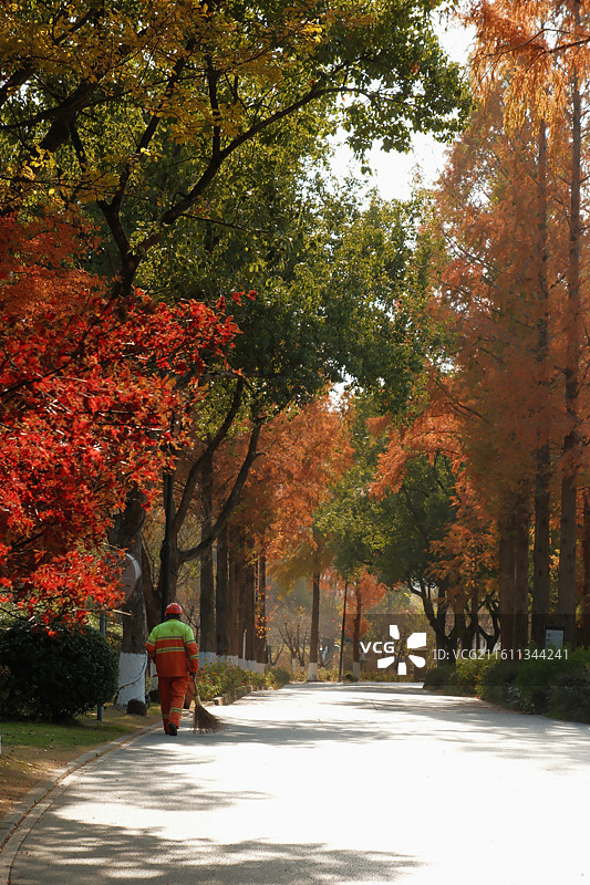 海盐南北湖秋景图片素材