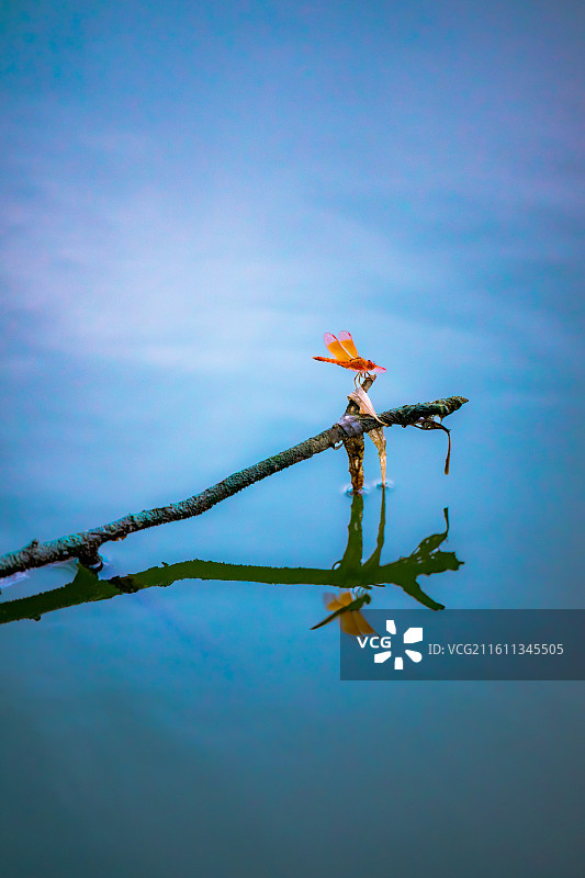 肥城湿地公园图片素材
