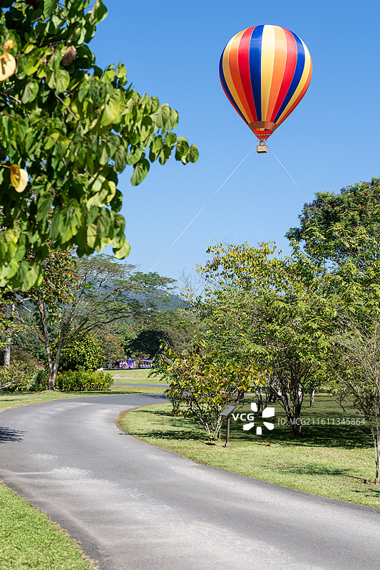 西双版纳中科植物园热气球图片素材