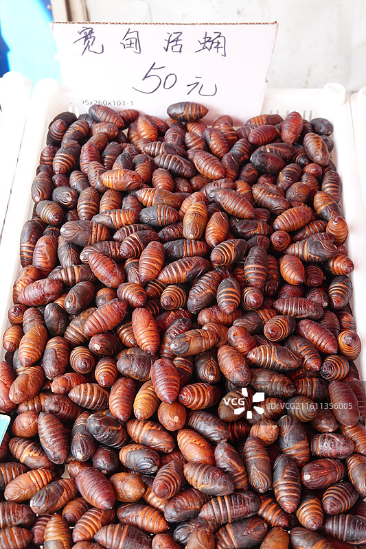 辽宁省丹东市丹东伟豪农贸市场早市：宽甸活蛹柞蚕蛹图片素材