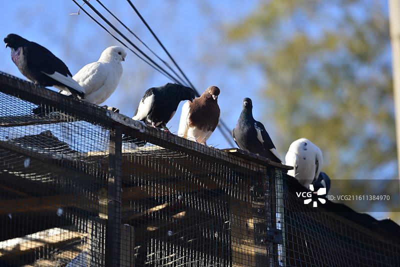 北京：图片素材