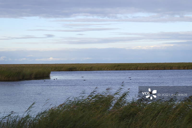 扎龙自然保护区扎龙湿地的建筑和雕塑图片素材
