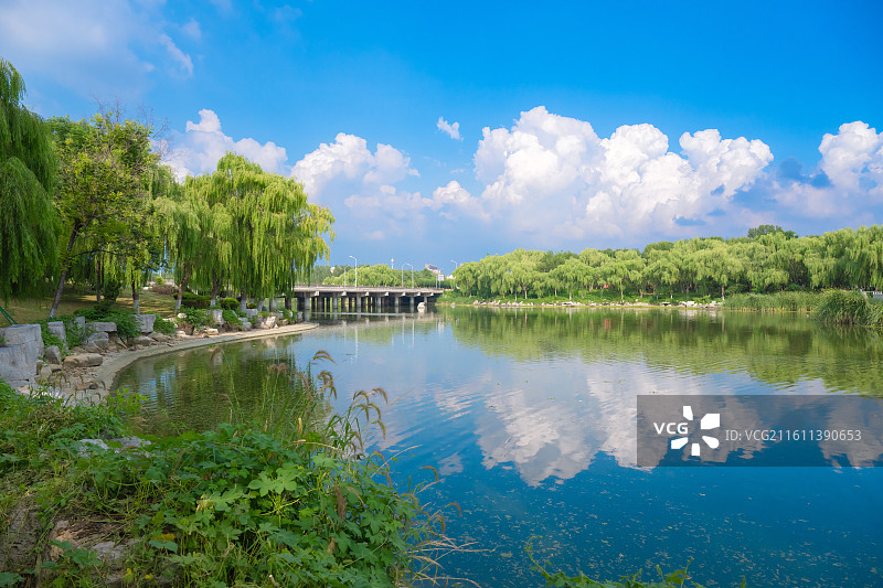 肥城湿地公园图片素材