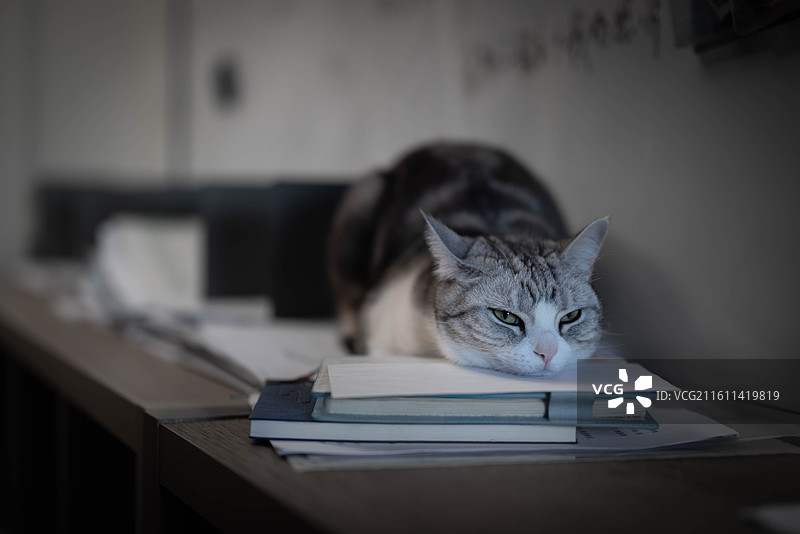 书山有床图片素材