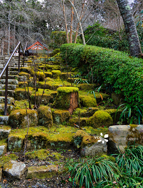 红叶季的京都三千院图片素材