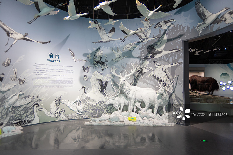 中国湿地博物馆图片素材