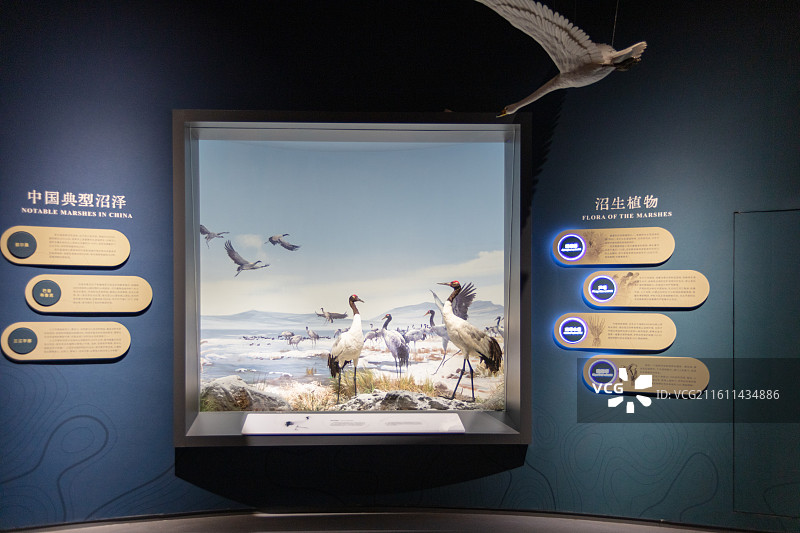 中国湿地博物馆图片素材