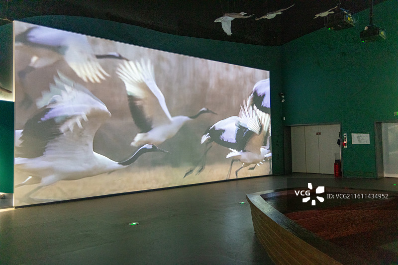 中国湿地博物馆图片素材