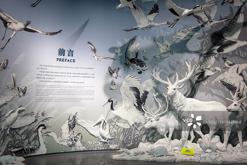 中国湿地博物馆图片素材