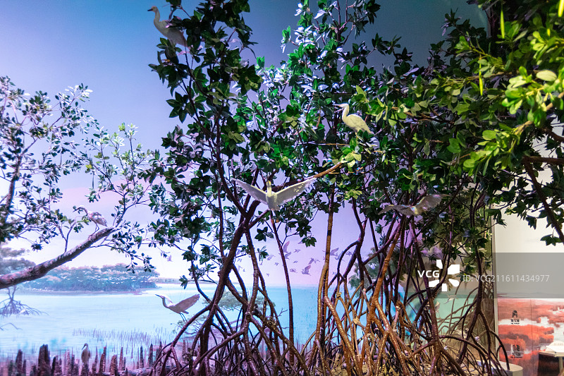 中国湿地博物馆图片素材