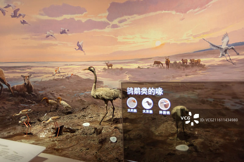 中国湿地博物馆图片素材