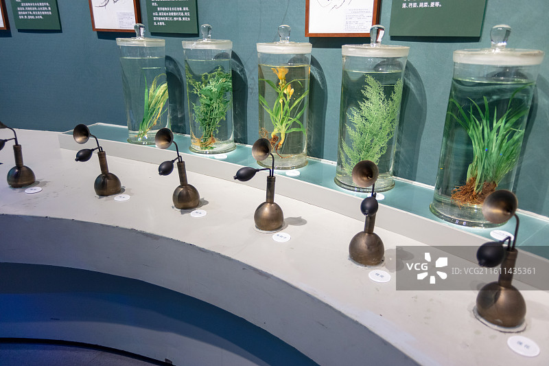 中国湿地博物馆图片素材