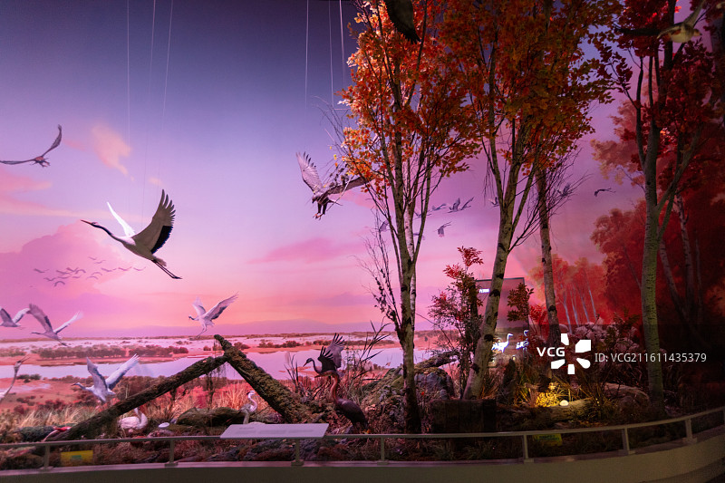 中国湿地博物馆图片素材