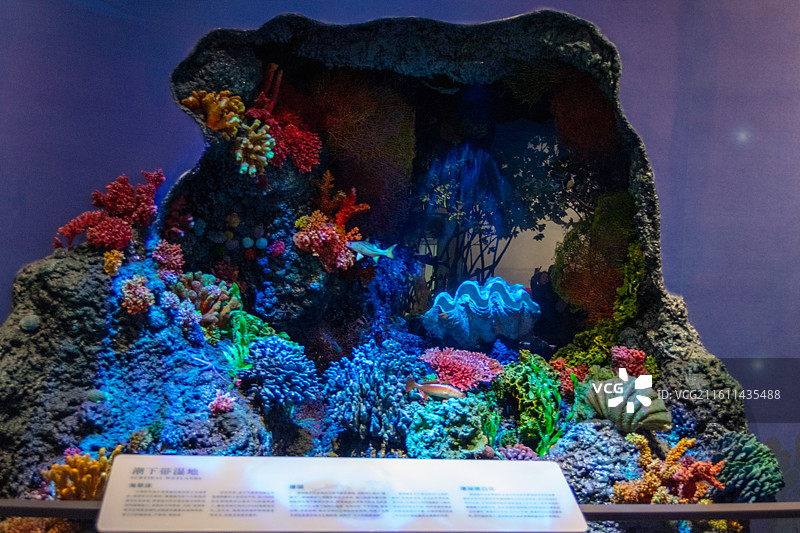 中国湿地博物馆图片素材