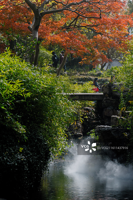 苏州拙政园 东方美学 中国风 园林艺术 建筑 秋景 秋天 枫叶 红色 色彩 治愈图片素材