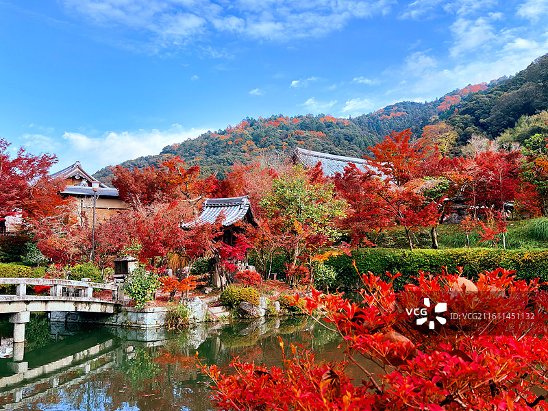 红叶季的永观堂和南禅寺图片素材