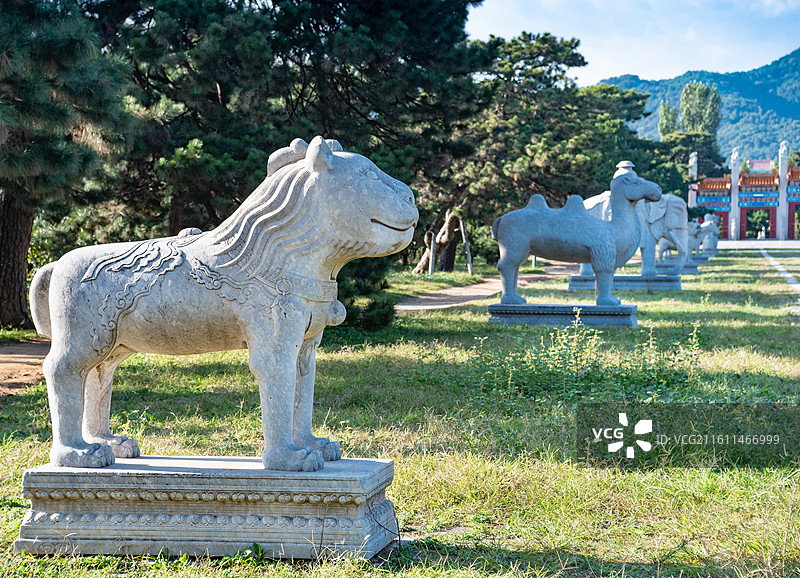 河北遵化清东陵乾隆裕陵神道石像生石狻猊图片素材
