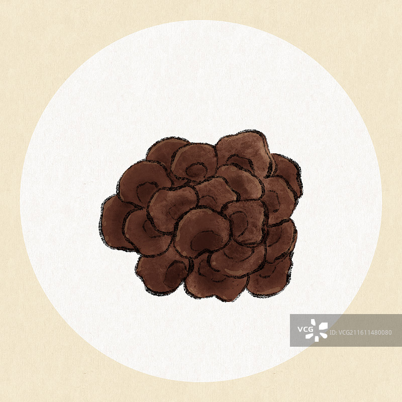 吉林美食插画-木耳图片素材