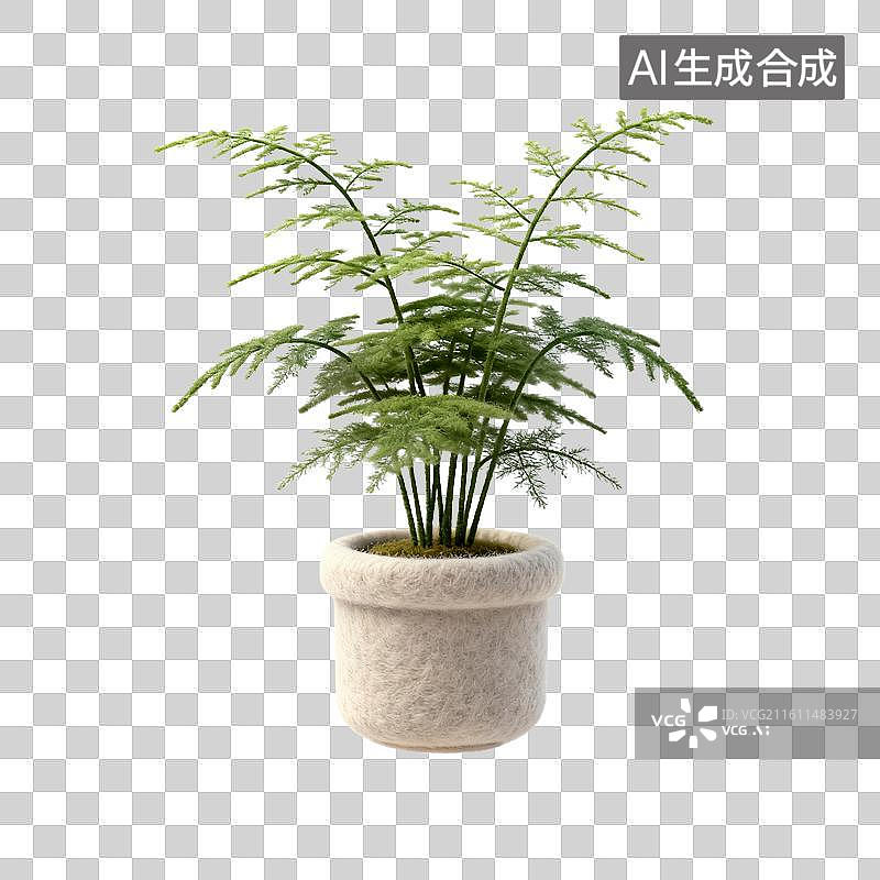 【AI数字艺术】羊毛毡的文竹图片素材