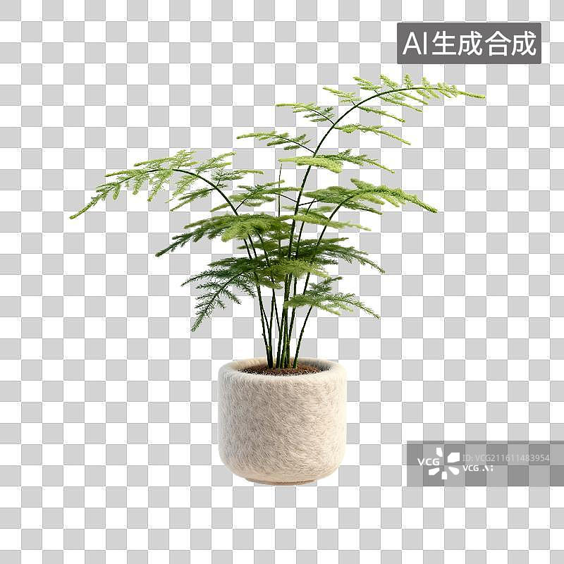 【AI数字艺术】羊毛毡的文竹图片素材