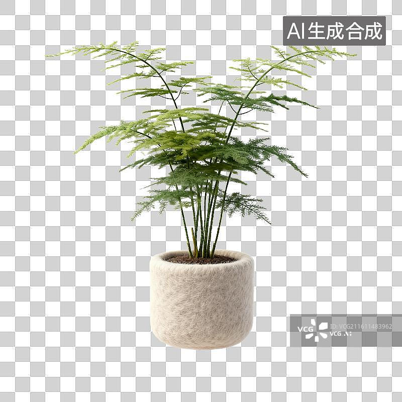 【AI数字艺术】羊毛毡的文竹图片素材