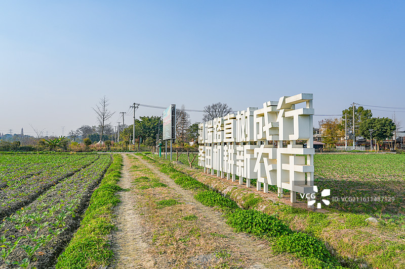 中国四川成都郫都区战旗村田园风光乡村振兴图片素材
