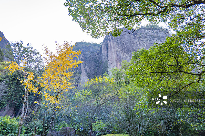 武夷山国家公园风景图片素材
