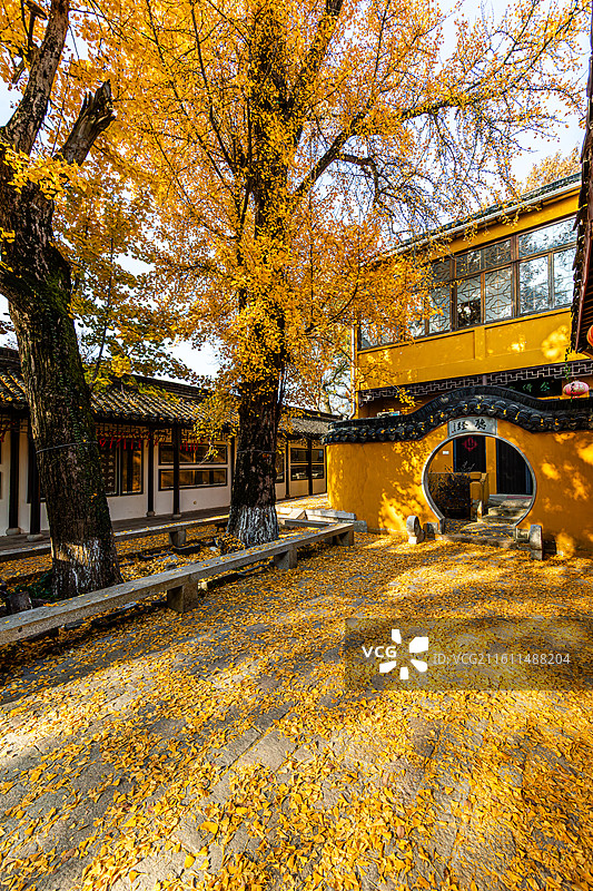 石壁永慧禅寺的秋天图片素材