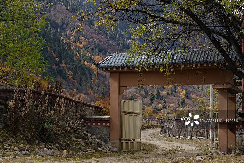 林芝秋天彩林图片素材