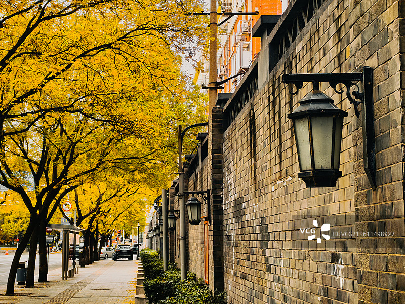 故都北京的深秋初冬风景风光图片素材