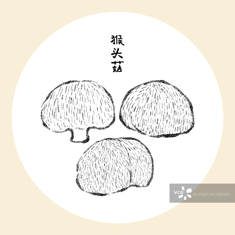 吉林美食插画-猴头菇图片素材