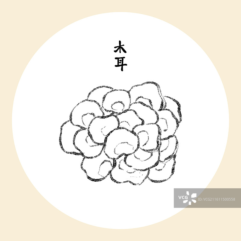吉林美食插画-木耳图片素材