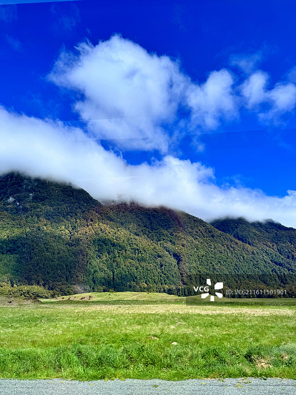 福克斯冰川·新西兰图片素材