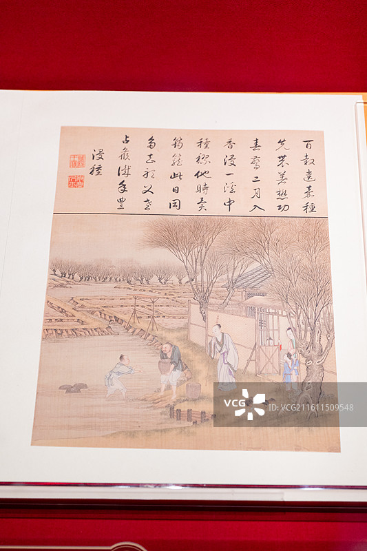 故宫博物院 百年守护展 清 佚名 绢本 《胤禛耕织图像册》（仿制品）图片素材