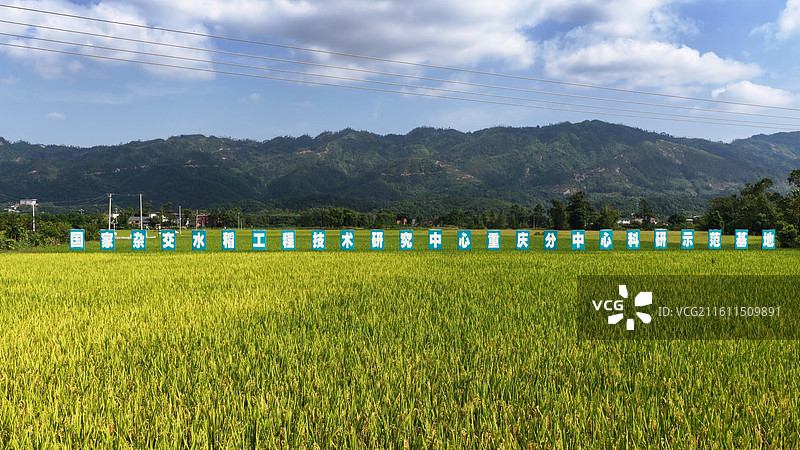 重庆大足隆平五彩稻田航拍图片素材