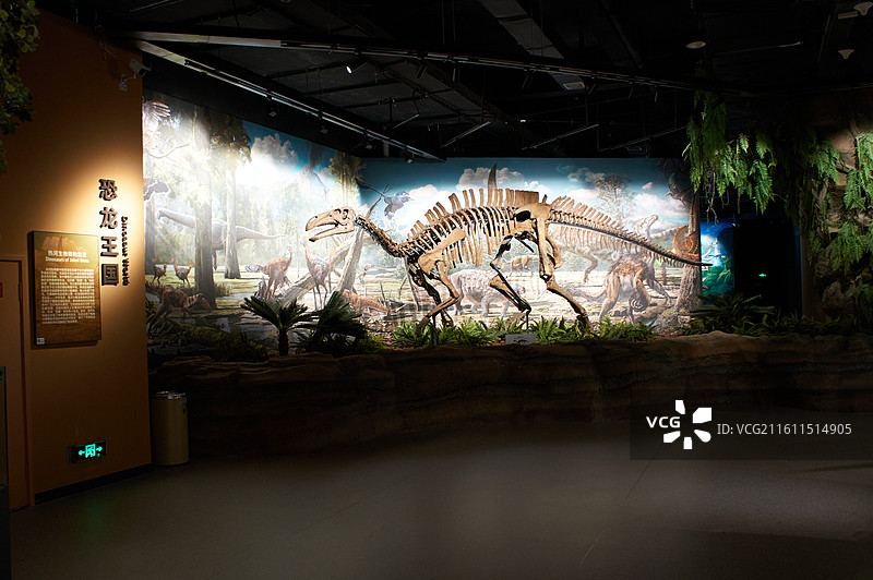 恐龙王国朝阳禽龙骨架，热河生物群，辽宁古生物博物馆，沈阳城市旅游景点，自然科普教育图片素材