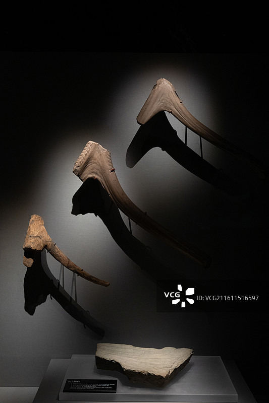 浙江博物馆角质器柄  新石器时代河姆渡文化(距今 7000-5300 年)1973-1977年河姆渡图片素材