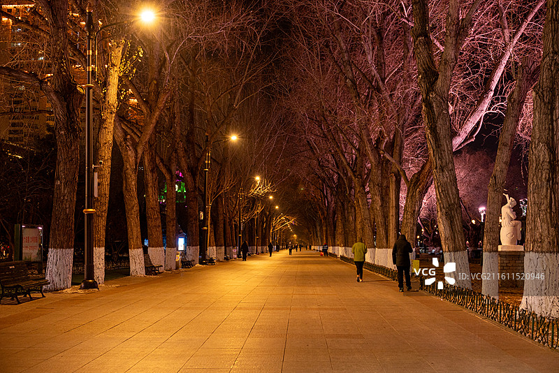 哈尔滨斯大林公园夜景图片素材