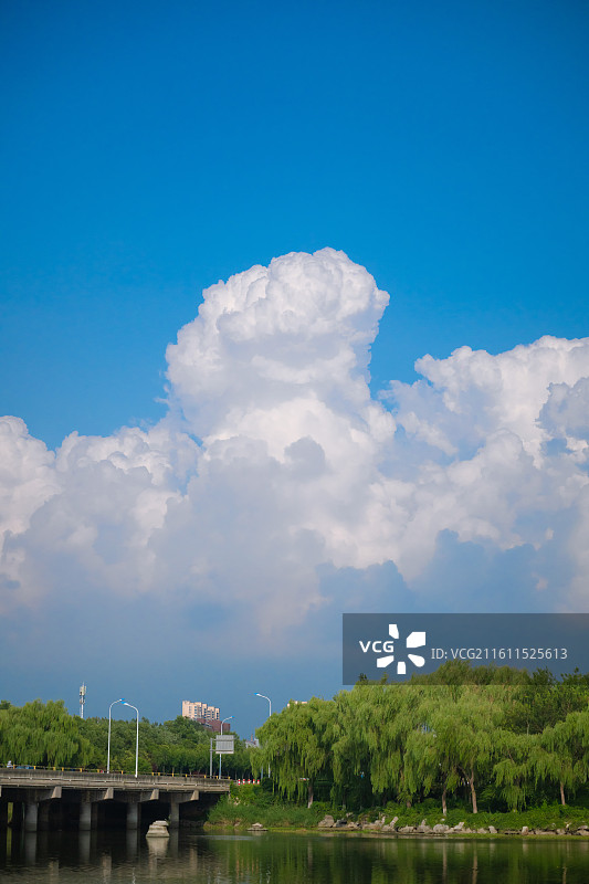 肥城湿地公园图片素材