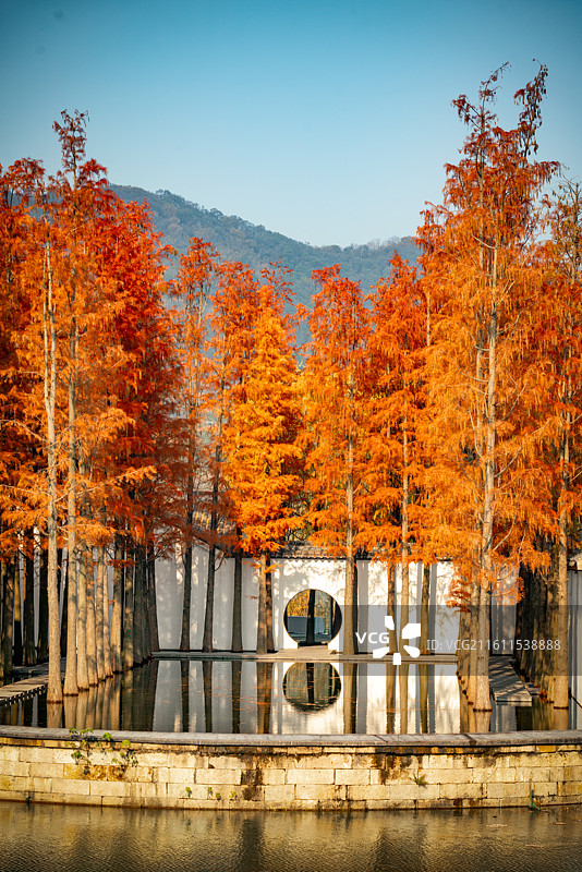 杭州湘湖的秋色图片素材