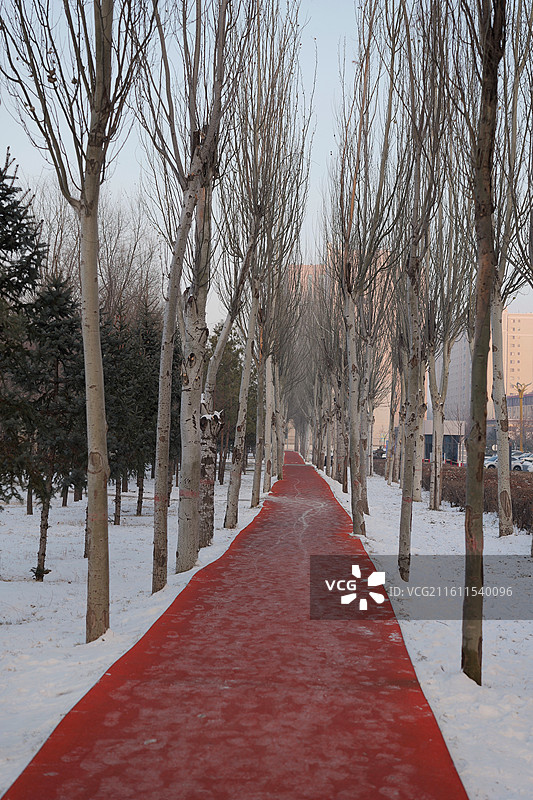 内蒙古博物院广场步道图片素材