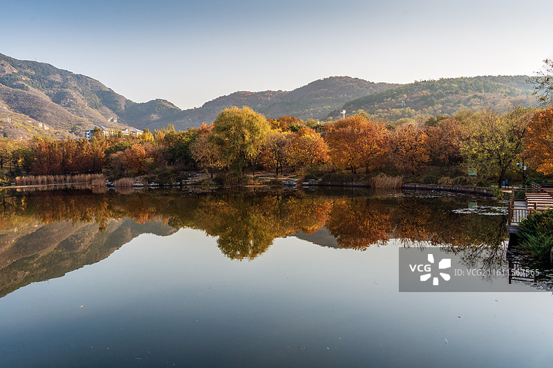 北京植物园秋天阳光秋色丁达尔光图片素材