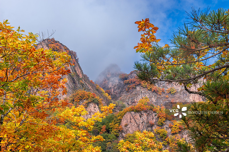 秋季色彩斑斓的蛟河拉法山国家森林公园图片素材