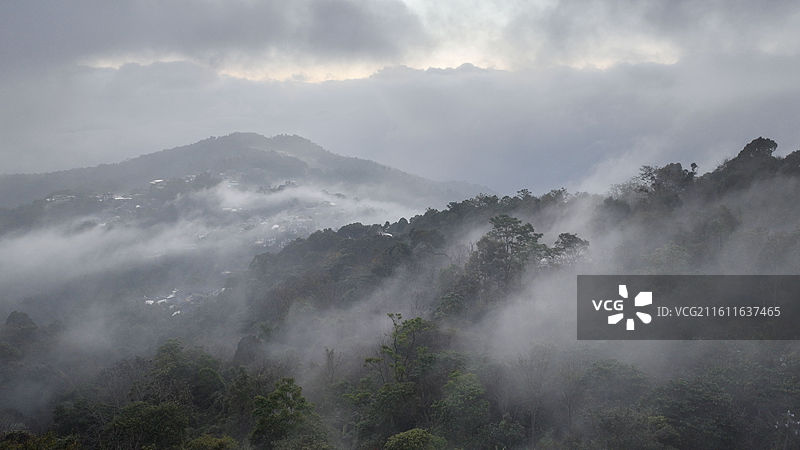 西双版纳 南糯山图片素材